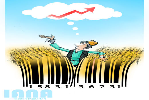 تعیین قیمت گندم متناسب با تورم -کارتون فیروزه مظفری 