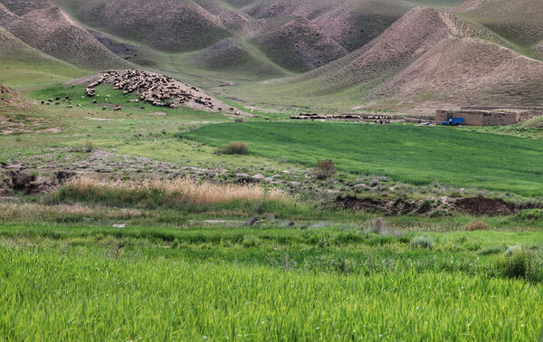 حفاظت ازعرصه‌های ملی جزء مهمترین وظایف حاکمیتی منابع طبیعی است