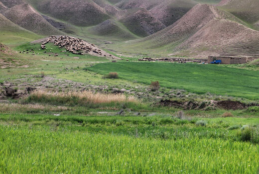 سیاست های ملی مرتع کشور تدوین می شود