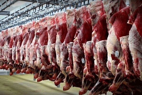 اجرای طرح ضربتی نظارت بر فرآورده های خام دامی  خوزستان