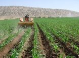 جذب تسهیلات ۴ درصدی خرید ادوات کشاورزی برای کشاورزان کردستانی