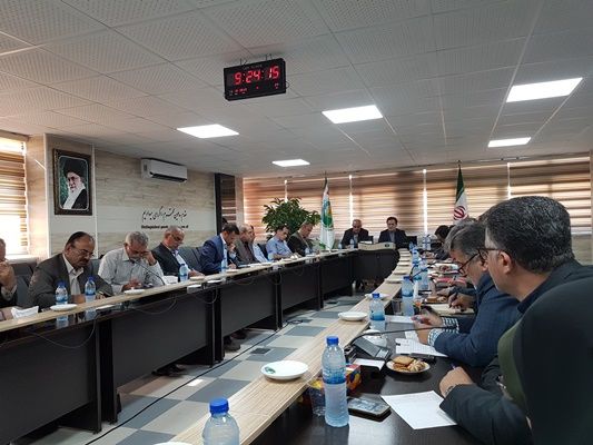 حفاظت از جنگل به دلیل تعهدات ایران به جامعه جهانی ضروری است/ اجرای برنامه‌های آزمایشی در جنگل‌های آموزشی دانشکده‌های منابع طبیعی/ احیای نهالستان‌ها و جنگل‌کاری در دستور کار قرار گیرد