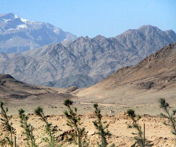 طرح حدنگاری در ۱.۳ میلیون هکتار از اراضی اصفهان اجرا شد