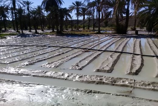 پیش‌بینی خسارت بیش از  7هزار میلیارد ریالی سیلاب به بخش کشاورزی استان سیستان و بلوچستان  