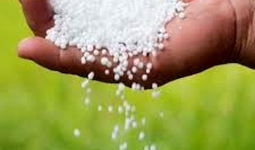 توزیع ۸۸ درصدی کود اوره در کهگیلویه و بویراحمد