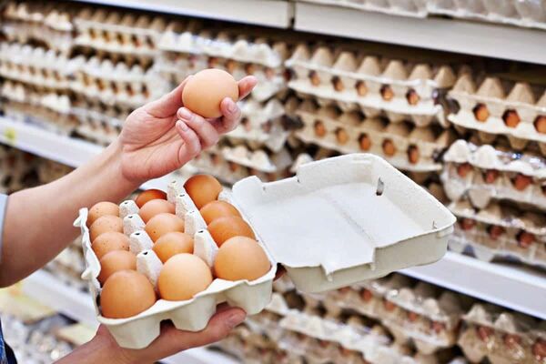 تولیدکنندگان تخم مرغ: طی دو سال، تخم مرغ تنها ۴ درصد افزایش قیمت داشت