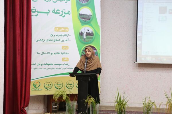 معرفی ارقام جدید برنج با عملکرد بالاتر و متناسب ذائقه ایرانیان
