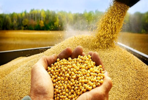 قزوین بستر مناسبی برای پشتیبانی نهاده‌های استراتژیک در کشور است