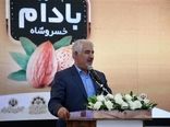 لزوم ایجاد دبیرخانه دائمی جشنواره بادام خسروشاه برای برندسازی و ارزش‌آفرینی اقتصادی