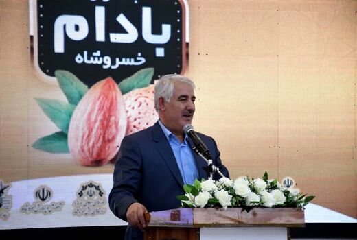 لزوم ایجاد دبیرخانه دائمی جشنواره بادام خسروشاه برای برندسازی و ارزش‌آفرینی اقتصادی