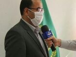 بیش از ٧٠ درصد جیره غذایی مرغداران توسط دولت تامین می شود