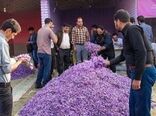 آغاز فعالیت بازارچه زعفران از امروز در فاروج