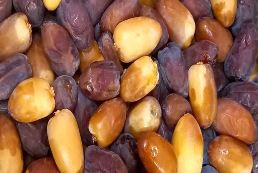 شیرین کامی زرین دشتی‌ها از رطب تازه