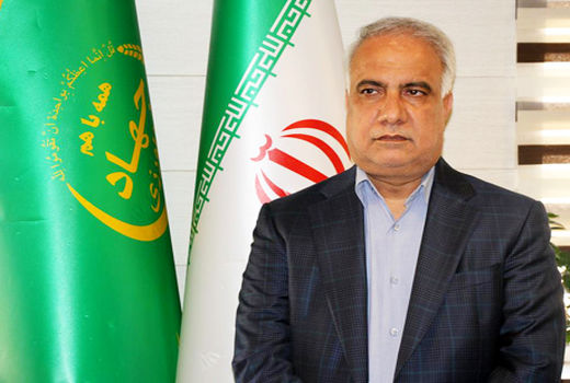 عملیات مبارزه با ملخ صحرایی در هرمزگان پایان یافت