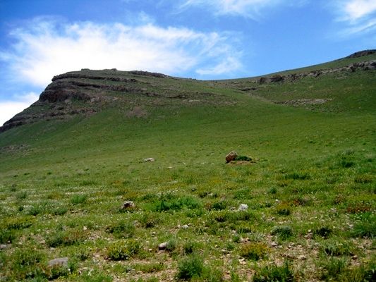  کشت گیاهان دارویی و جنگل‌کاری در 3 هزار هکتار از عرصه های منابع طبیعی