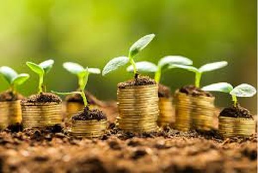 تاکید نماینده قزوین بر لزوم افزایش سهم اعتبارات بخش کشاورزی