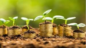 ضرورت افزایش اعتبارات اداره کل منابع طبیعی و آبخیزداری استان سمنان در بودجه ۱۴۰۵