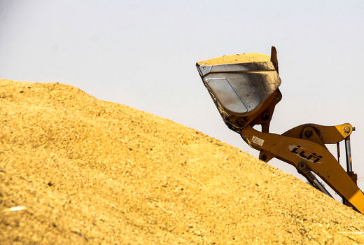 آغاز خرید تضمینی گندم استان تهران