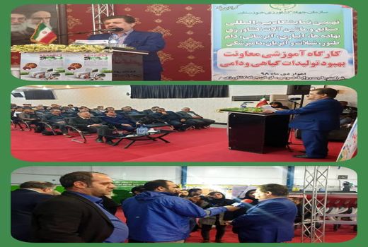 خوزستان مهم‌ترین قطب تولید کشاورزی کشور