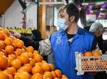 هیچ کمبودی در تأمین میوه نداریم/ گرانی میوه ناشی از ضعف نظارت بر خرده‌فروشی‌هاست