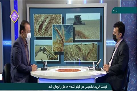 افزایش قیمت خرید تضمینی موجب رغبت کشاورزان برای فروش گندم به دولت می‌شود