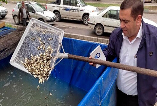 رهاسازی 30 هزار قطعه بچه ماهی در مزارع پرورش ماهی شهرستان مرند استان اذربایجان شرقی