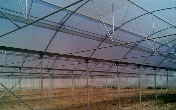 واگذاری 35 هزارهکتارعرصه ملی برای اجرای طرحهای کشاورزی