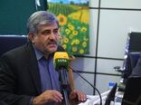 بیمه فراگیر گندم الگوی تحول در بیمه کشاورزی است / گامی به سوی کارآمدی و رضایتمندی