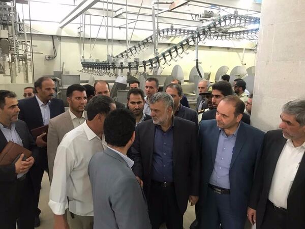حمایت 100 درصدی وزارت کشاورزی از برندسازی محصولات