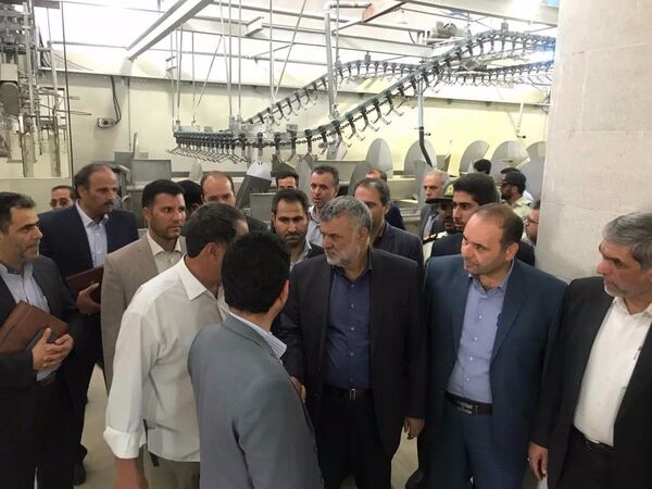 حمایت 100 درصدی وزارت کشاورزی از برندسازی محصولات