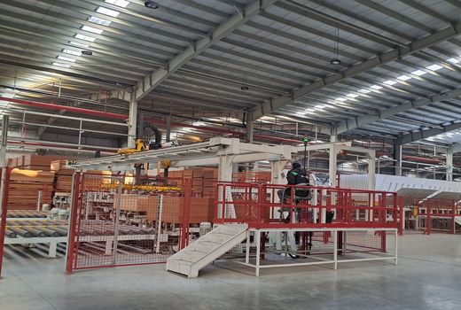 اختصاص 584 هکتار از اراضی شوش به طرح زراعت چوب