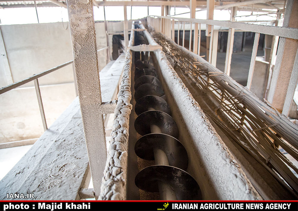 بازدید از کارخانه آرد