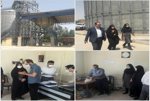 بازدید رییس سازمان جهاد کشاورزی استان قزوین از مرکز خرید تضمینی گندم کیمیا خوشه یک