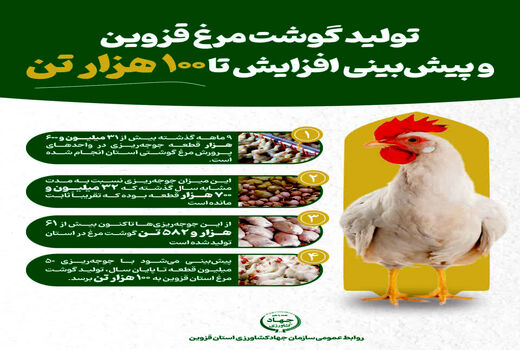 اینفوگرافیک | تولید گوشت مرغ در قزوین و پیش بینی افزایش تا 100 هزار تن 