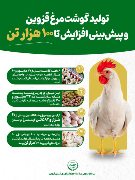 اینفوگرافیک | تولید گوشت مرغ در قزوین و پیش بینی افزایش تا 100 هزار تن 