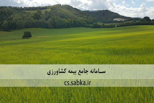 ثبت اطلاعات بیش از 3.2 میلیون بهره‌بردار در سامانه جامع بیمه کشاورزی