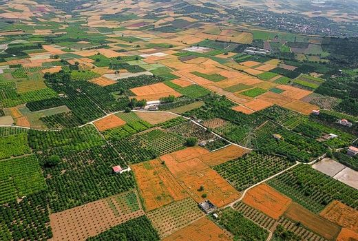 درآمد 100 هزار میلیارد تومانی از دیمزارهای کشور