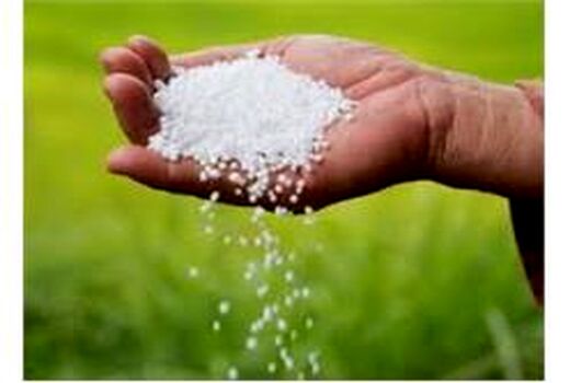 توزیع 1000 تن کود شیمیایی بین کشاورزان گلوگاهی