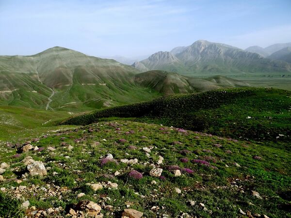 تشدید اقدامات حفاظتی از اراضی ملی در ایام نوروز