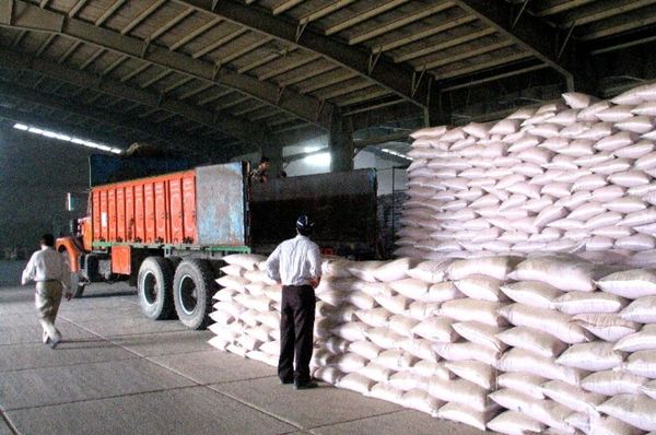 توزیع 2281 تن انواع کود شیمیایی یارانه دار در شهرستان های تکاب و شاهیندژ