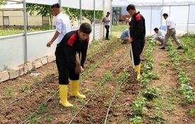 بسته «پرورش کشاورزان آینده» آماده است/ سهم آموزش کشاورزی باید افزایش یابد