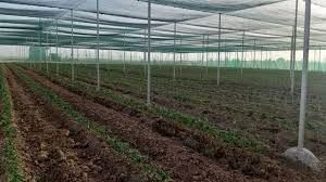 احداث گلخانه های تابع اقلیم  در شهرستان کوار