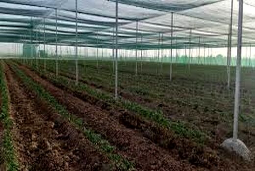 احداث گلخانه های تابع اقلیم  در شهرستان کوار