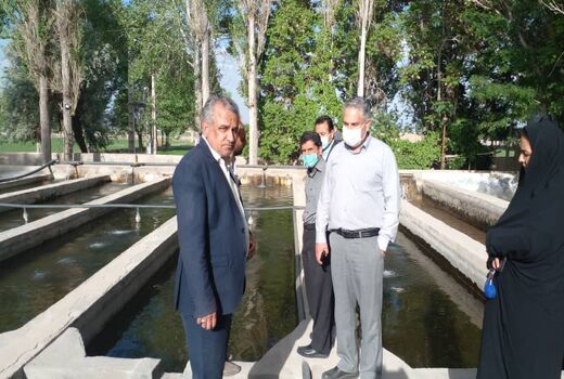 ایجاد فرصت های سرمایه گذاری و افزایش تولید  با توسعه طرح های پرورش آبزیان در استخرهای ذخیره کشاورزی