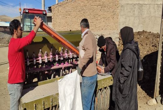 کشت مکانیزه نخود در راستای طرح جهش تولید در دیمزارهای بستان‌آباد با هدف حفظ خاک و بهره‌وری بیشتر