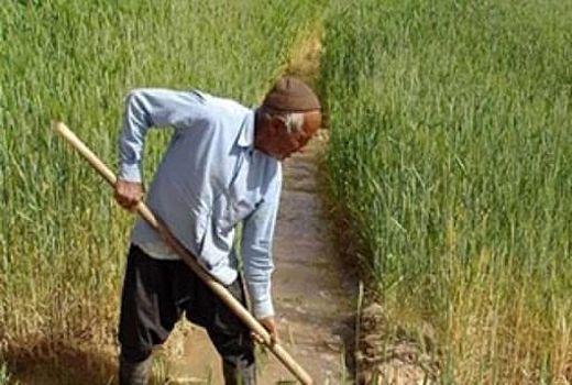 توصیه‌ها و اقدامات بهداشتی برای پیشگیری از بیماری کروناویروس در بین زارعین آذربایجان غربی 