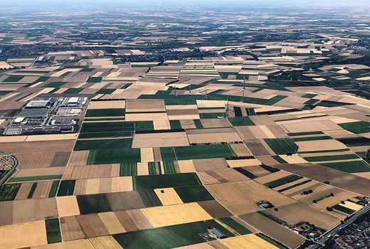  پرورش دام و نابودی کره زمین