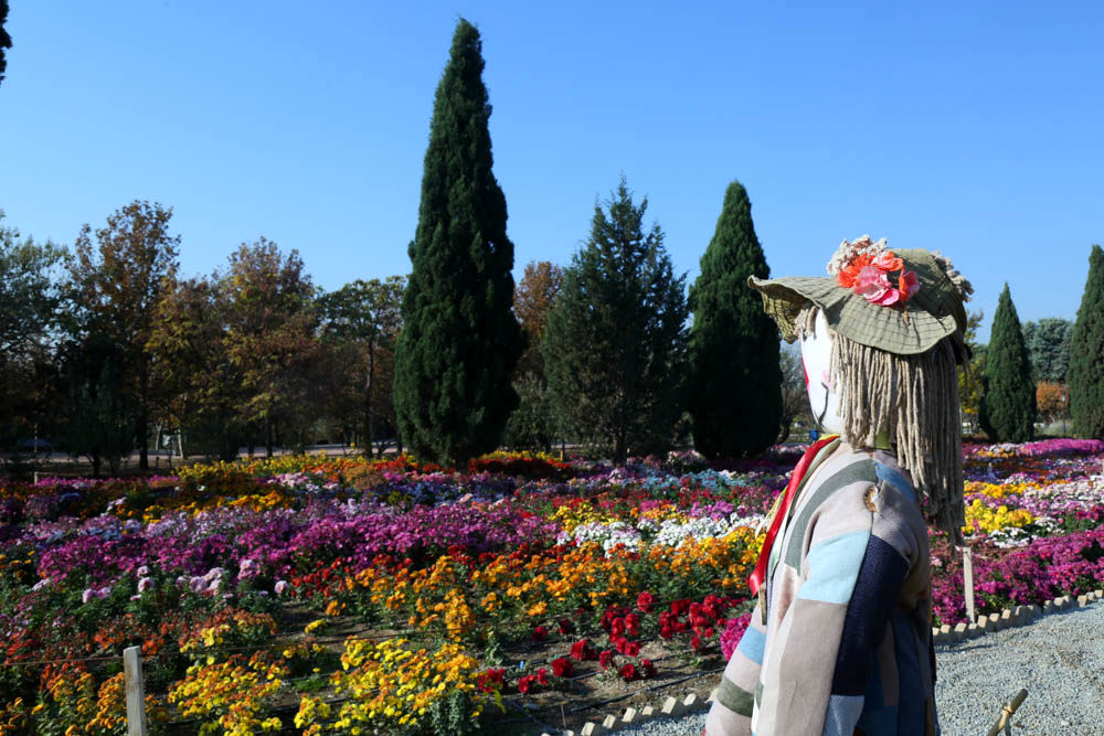 بازدید تور رسانه ای از باغ ملی گیاه شناسی ایران                   