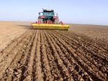 تحقق ۹۸ درصدی الگوی کشت در قزوین