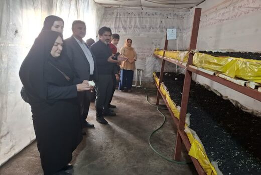 زنان روستایی نقش آفرینان توسعه اقتصادی و امنیت غذایی